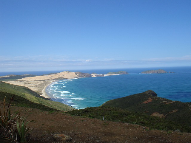 ノースランド　歴史文化とワイポウア・フォレスト２泊３日の写真